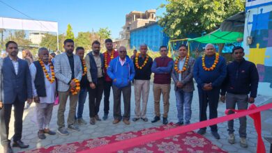 शाहपुरा की द्रोणा पब्लिक स्कूल में बाल मेले का भव्य आयोजन 13 IMG 20241215 WA0020