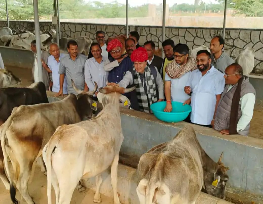 संसदीय विधि मंत्री पहुंचे रणकपुर जैन मंदिर: गोशाला में गायों को गुड़ खिलाया, अतिक्रमण हटाने की शिकायत पर तहसीलदार को दिए निर्देश 1 IMG 20241224 WA00091