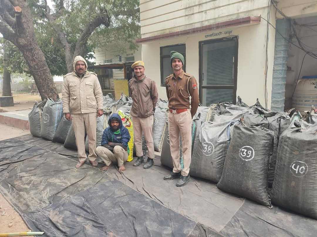 ट्रक से 851 किलो 790 ग्राम अवैध डोडाचूरा जब्त, एक आरोपी गिरफ्तार 1 WhatsApp Image 2024 12 27 at 10.28.12 AM 1