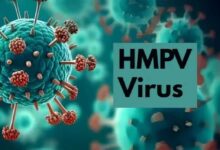 HMPV Virus