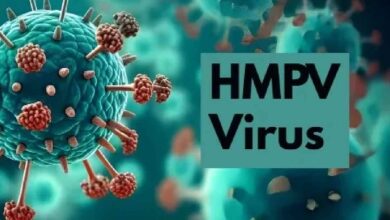 HMPV Virus