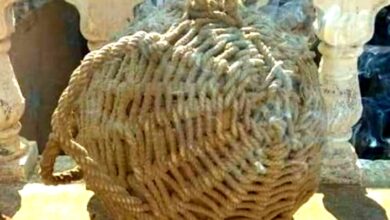 IMG 20250114 WA0003