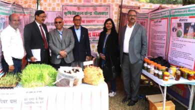 किसान मेले में महाराणा प्रताप कृषि एवं प्रौद्योगिकी विश्वविद्यालय, उदयपुर का सर्वश्रेष्ठ प्रदर्शन 13 WhatsApp Image 2025 01 20 at 5.43.04 PM