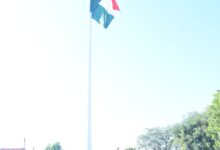 IMG 20250212 WA00411