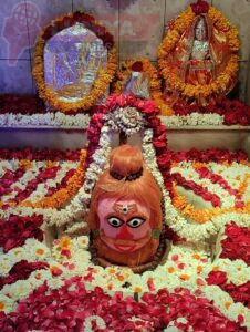 WhatsApp Image 2025 02 11 at 12.52.47 PM