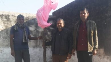 खोखरा गाँव में विधिवत होली रोपण, उत्सवों की परंपरा जीवंत 9 WhatsApp Image 2025 02 13 at 11.58.48 AM
