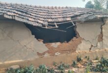 टुण्डी में फिर हाथियों के झुंडों ने मचायी भारी तबाही घर समेत फसलों का भारी नुक़सान की खबर 10 WhatsApp Image 2025 02 23 at 9.46.36 AM