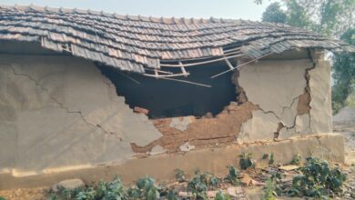टुण्डी में फिर हाथियों के झुंडों ने मचायी भारी तबाही घर समेत फसलों का भारी नुक़सान की खबर 15 WhatsApp Image 2025 02 23 at 9.46.36 AM