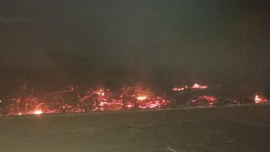 बडेसरा चौराहा के निकट एक खेत में लगी आग 12 IMG 20250329 WA0128