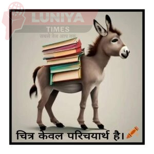WhatsApp Image 2025 03 01 at 10.50.18 PM 1
