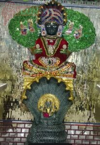 WhatsApp Image 2025 03 07 at 7.50.38 PM 1