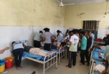 दाह-संस्कार में शामिल लोगों पर मधुमक्खियों का अटैक, शव छोड़कर भागे 35 को मारे डंक, बुजुर्गों को गोद में उठाकर हांस्पिटल लाए 4 WhatsApp Image 2025 03 16 at 4.39.07 PM