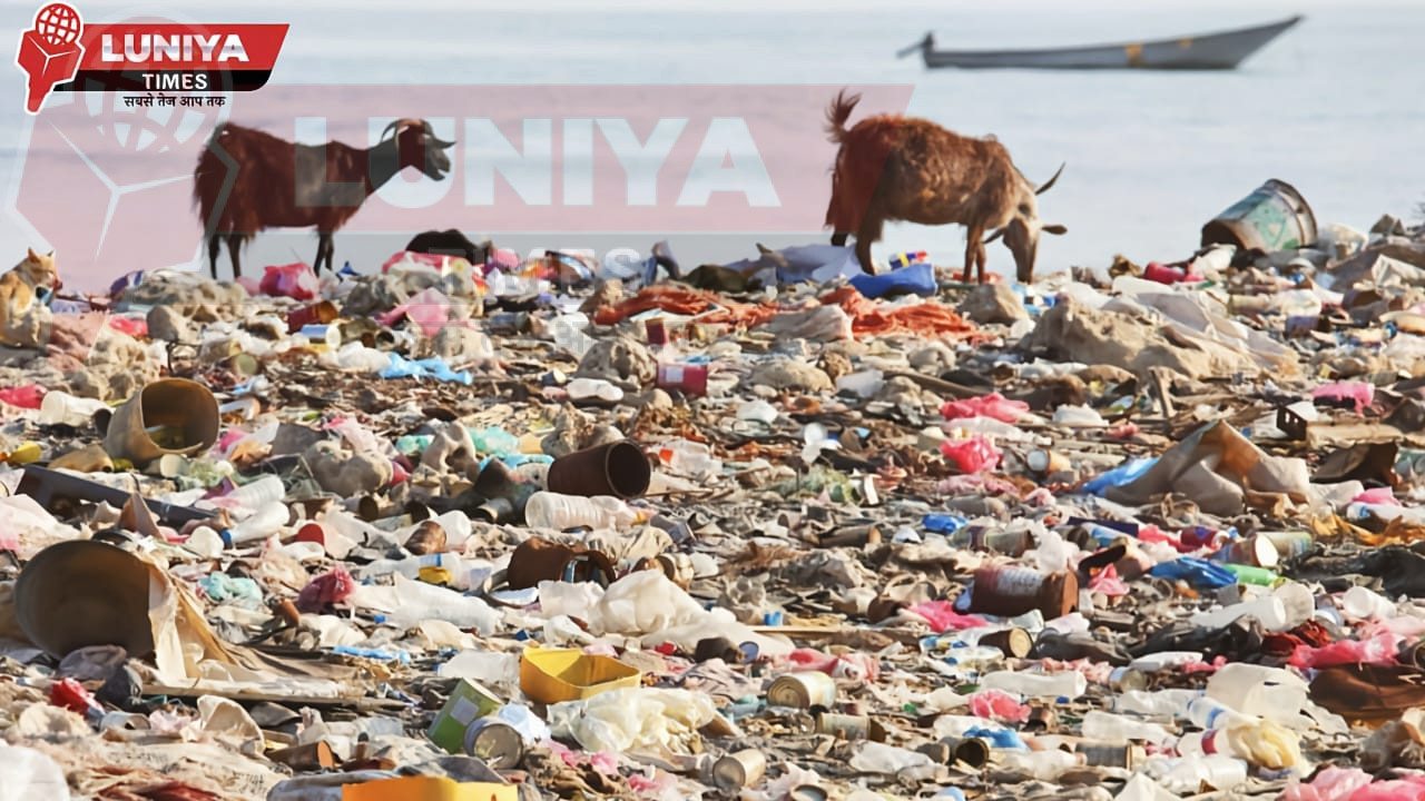 7 Major Ways Pollution is Destroying Our Planet – How You Can Stop It in 2025 1 WhatsApp Image 2025 03 20 at 6.34.59 PM 1