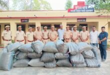 सादड़ी पुलिस की बड़ी कार्रवाई: 78 लाख रुपये का डोडा पोस्त जब्त, तस्कर फरार 3 IMG 20250420 WA0523 1536x1152 1