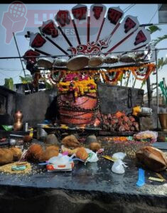 खजुरिया श्याम दरबार में उमड़ा श्रद्धा का सैलाब, पैदल यात्रियों से गुलजार रहा मंदिर परिसर 4 WhatsApp Image 2025 04 05 at 12.45.03 PM 1