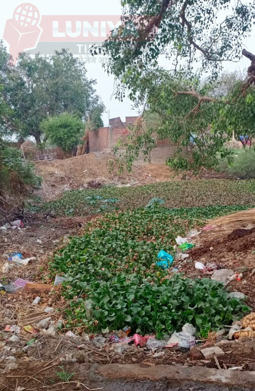 प्रयागराज: गांवों से मिटता तालाबों का अस्तित्व, राजस्व विभाग बेखबर 1 WhatsApp Image 2025 06 11 at 7.23.52 PM e1749650418729