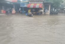 सादड़ी में सुकड़ी नदी में आया बहाव, बारिश से मौसम हुआ सुहाना, बांधों में जलस्तर बढ़ा, बिजली-पानी व्यवस्था प्रभावित 2 IMG 20250703 WA0081