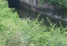 IMG 20250726 WA0094