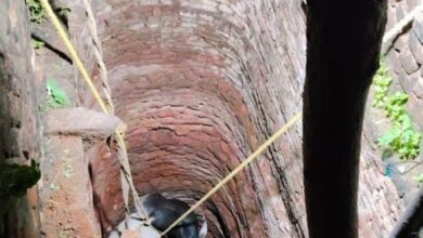 नाथजी की बावड़ी में गिरा बैल, 9 घंटे चले रेस्क्यू ऑपरेशन में सकुशल बाहर निकाला गया 8 IMG 20250729 WA0021