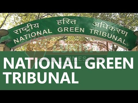 एनजीटी की सख्ती- एनएचएआई से मांगा जवाब, नियमों के अनुसार 8.5 लाख पौधे और लगाने की जरूरत 1 WhatsApp Image 2025 07 07 at 3.19.11 PM