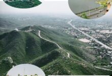 हरियाली अमावस्या