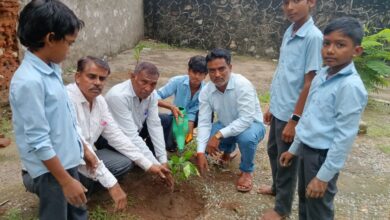पीएम श्री बालिका विद्यालय में हरियालो राजस्थान अभियान के तहत दुर्लभ विलुप्त प्रजाति के पौधों की जानकारी देकर किया पौधरोपण 17 WhatsApp Image 2025 07 28 at 14.58.55