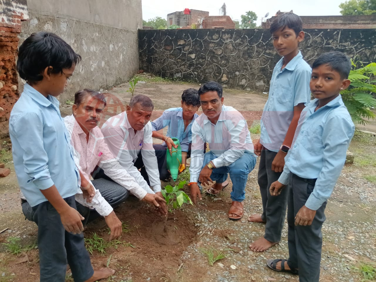 पीएम श्री बालिका विद्यालय में हरियालो राजस्थान अभियान के तहत दुर्लभ विलुप्त प्रजाति के पौधों की जानकारी देकर किया पौधरोपण 1 WhatsApp Image 2025 07 28 at 14.58.55