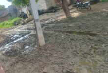 चैनाका खेड़ा रोड की हालत बदहालः कीचड़, जलभराव और गड्डों से भरी सड़क 5 IMG 20250802 WA0078