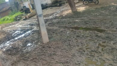 चैनाका खेड़ा रोड की हालत बदहालः कीचड़, जलभराव और गड्डों से भरी सड़क 13 IMG 20250802 WA0078