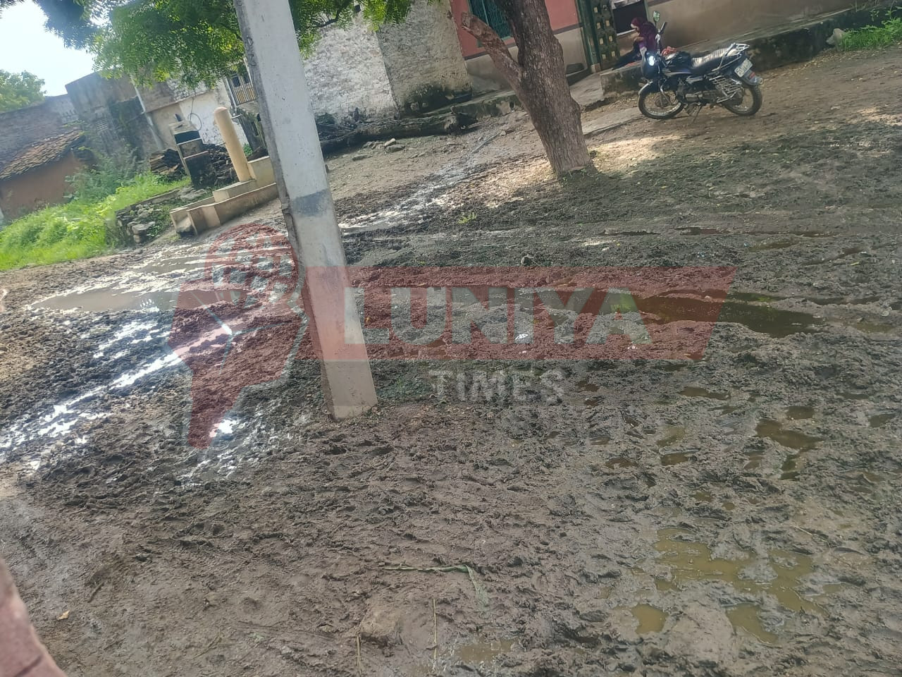 चैनाका खेड़ा रोड की हालत बदहालः कीचड़, जलभराव और गड्डों से भरी सड़क 1 IMG 20250802 WA0078