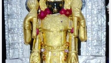 जलझूलनी पर भीलवाड़ा शहर में चारभुजा नाथ बड़ा मंदिर तक निकलेगी तीन किमी पैदल यात्रा 9 IMG 20250829 WA0031