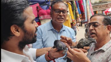 भावनाशून्य भीड़ में जागी संवेदना: भूलेश्वर कबूतरखाने में दो कबूतरों की मुक्ति ने दिलों को झकझोरा 11 WhatsApp Image 2025 08 06 at 19.04.29