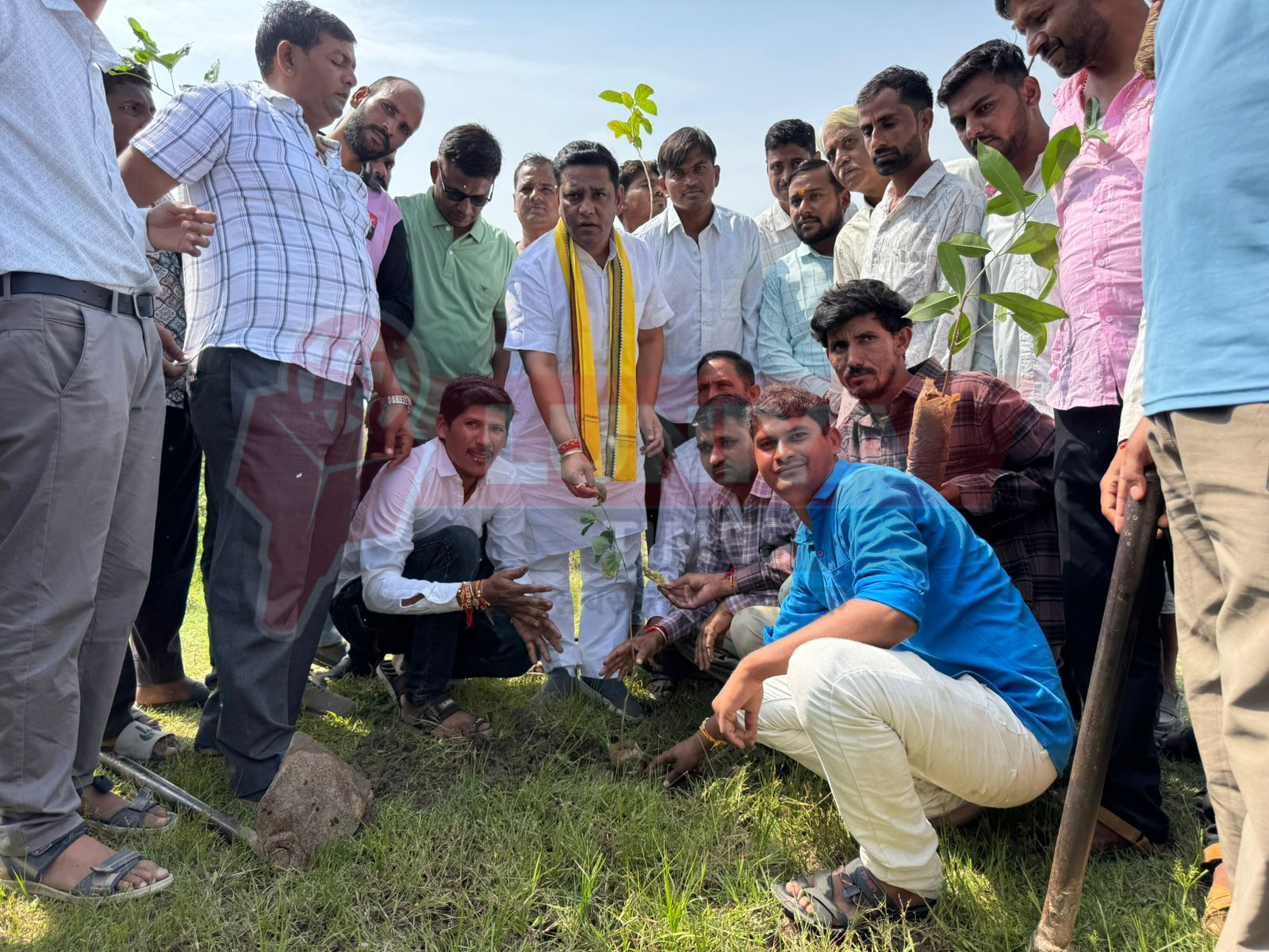 सरदार नगर में भाजपा कार्यकर्ताओं संग विधायक डॉ. लालाराम बैरवा ने किया वृक्षारोपण, सुरक्षा व देखभाल का लिया संकल्प 1 WhatsApp Image 2025 08 11 at 13.31.45