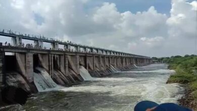 मातृकुंडिया बांध : (चित्तौड़गढ़) बांध के 6 गेट रात्रि 9 बजे डेढ़-डेढ फीट खोले जाएंगें 13 WhatsApp Image 2025 08 27 at 7.57.11 PM