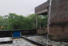 IMG 20250906 WA0012