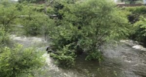 IMG 20250906 WA0023