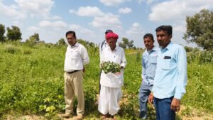 प्रगतिशील किसान रेवताराम मनमोडा के खेत में मोठ की प्रदर्शनी का अवलोकन 4 IMG 20250919 WA0035