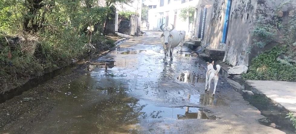 कोठार गांव में जल रिसाव से बर्बाद हो रहा लाखों लीटर पानी, नागरिक परेशान 1 WhatsApp Image 2025 09 14 at 10.35.04