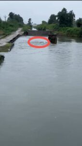 मेजा बांध छलकने को ढाई कदम दूर, जलस्तर 28.40 फीट पहुंचा, कोठारी का पानी बन्द, मेजा फीडर नहर ने आस तोड़ी,उमस ने किया परेशान 4 WhatsApp Image 2025 09 18 at 12.48.45