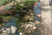 नवरात्र में ग्राम पंचायत राशमी की अनदेखीः देव स्थान पर नालियों की सफाई नहीं होने से सड़कों के पास भरा गंदा पानी; गंदगी फैलने से बढ़ रही बीमारियां 6 WhatsApp Image 2025 09 21 at 11.25.06