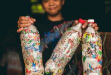 640px Ecobricks are bottles packed with non biological waste