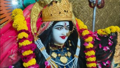 बाड़िया माता मंदिर : परिक्रमा लगाने से लकवा रोग दूर होने की मान्यता 12 IMG 20251001 WA0021