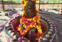 WhatsApp Image 2025 10 02 at 16.31.15