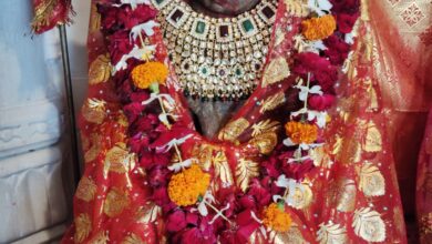 बिसलपुर में अंगाई माता ब्राह्मणी माताजी का वार्षिक मेला 3 नवम्बर से, अगले दिन होगा चंडीसा राव समाज का स्नेह मिलन समारोह 9 IMG 20251101 WA00021