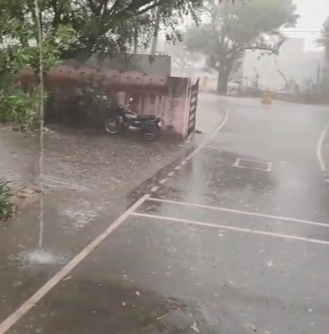 बाली तहसील क्षेत्र के भी कुछ क्षेत्र मे उपतहसीलों में हल्की बारिश या बूंदाबांदी बारिश होने की संभावना 1 IMG 20251103 WA0023