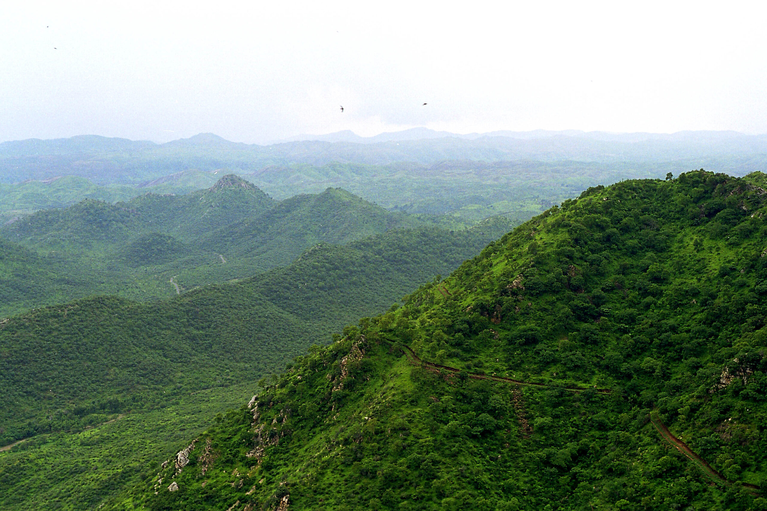 अरावली पर्वतमाला पर क्यों छिड़ा विवाद, पर्यावरण बनाम विकास की जंग, सुप्रीम कोर्ट के फैसले से तेज हुई बहस 1 Aravalli scaled
