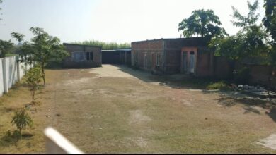 IMG 20251205 WA0003