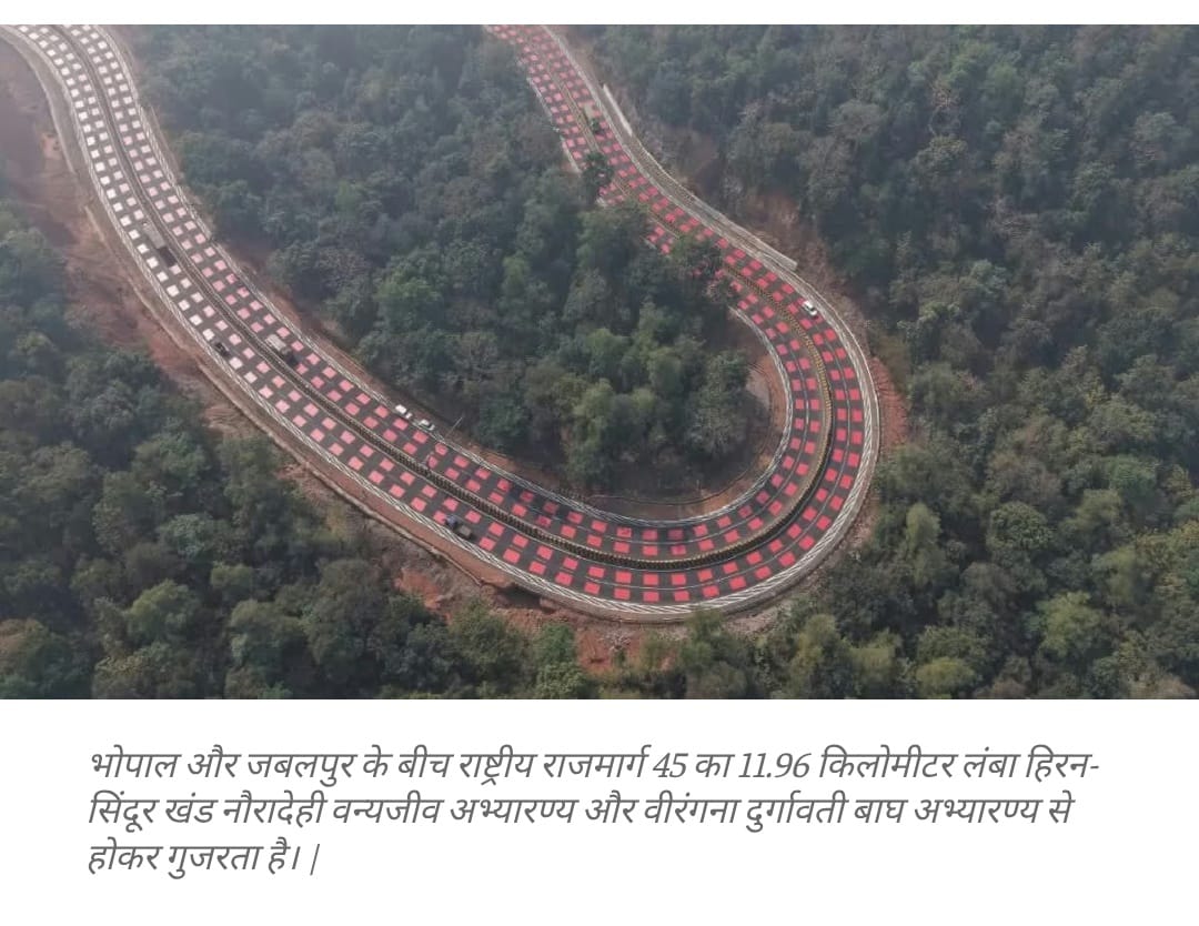 मध्य प्रदेश का लाल रंग का राजमार्ग वैश्विक पद्धति से प्रेरित है। इसका उद्देश्य जानवरों की रक्षा करना है। 1 WhatsApp Image 2025 12 11 at 18.47.17 33914237