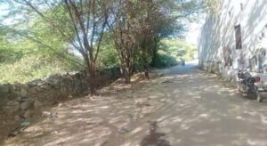 सालमपुरा माता के गन्दगी का आलम, अंग्रेजी बबूल से परेशानी, नहीं तो पार्किंग, नहीं रोड लाइट व्यवस्था श्रद्धालु परेशान 4 WhatsApp Image 2025 12 13 at 10.49.08 AM 1
