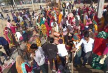 कंवलियास प्राकट्य त्रिदेव शिवालय पर उमड़ा आस्था का सैलाब हजारों श्रद्धालू ने किए दर्शन 3 WhatsApp Image 2025 12 22 at 3.54.19 PM